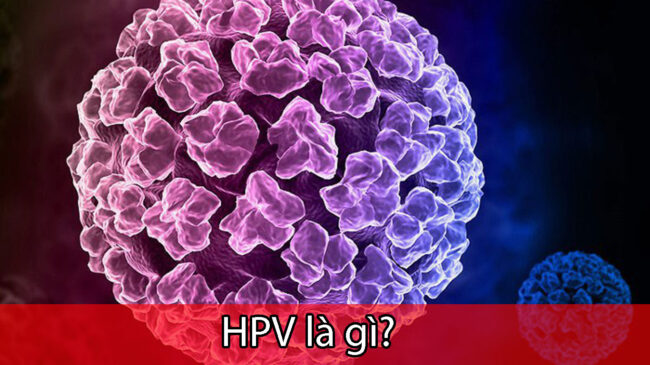 HPV là gì?